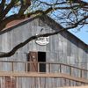 Albert Icehouse & Dancehall gift card