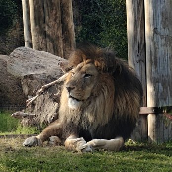 Fort Worth Zoo - Zoos Near Me - Fort Worth, Texas