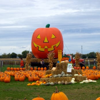 Trabbic Pumpkin Farm - The Great Pumpkin - Pumpkin Patches Near Me - Erie, Michigan Trabbic Pumpkin Farm - The Great Pumpkin - Pumpkin Patches Near Me - Erie, Michigan