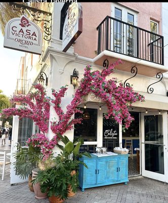 Calista Cafe by null