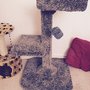 Photo of Catman Cat Furniture