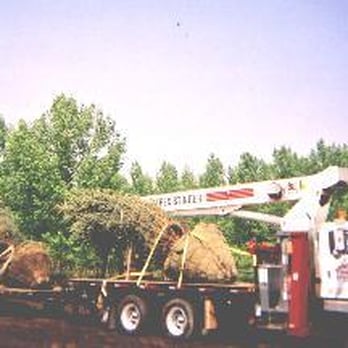 Sonny's Crane - Hoisting and Hauling 7,000 thousand pound trees - Crane Services Near Me - Balzac, Alberta