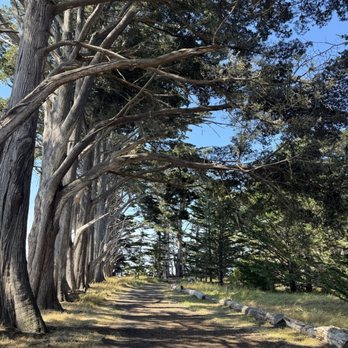 Fitzgerald Marine Reserve - Parks Near Me - Moss Beach, California
