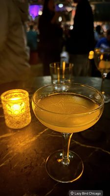 Lazy Bird by null Lazy Bird by null