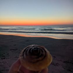 The Donut Palace