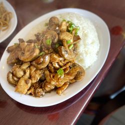 Chicken and Mushroom lunch plate