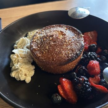 Ivy and Ale - Lemon Olive Oil Cake - Nurseries & Gardening Near Me - Fort Walton Beach, Florida Ivy and Ale - Lemon Olive Oil Cake - Nurseries & Gardening Near Me - Fort Walton Beach, Florida