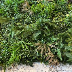 Dulce Vida - The succulent decor wall