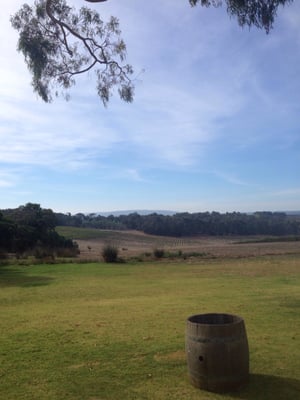 Swings & Roundabouts by null