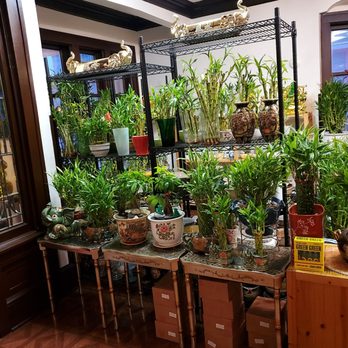 Feng Shui Haus Gift Shop - Astrologers Near Me - Milwaukee, Wisconsin Feng Shui Haus Gift Shop - Astrologers Near Me - Milwaukee, Wisconsin