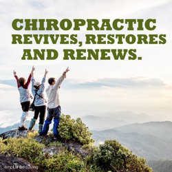 Van Ness Chiropractic