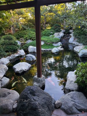 Japanese Friendship Garden & Museum by null