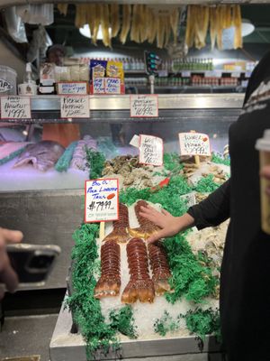 Atrium Kitchen by null