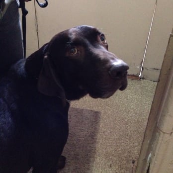 Discreet Bedbug Inspections - Sherlock! - Pest Control Near Me