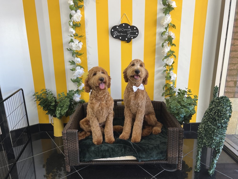 PET CLEMENTE Updated September 2024 2727 Via Cascadita, San