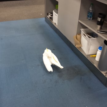 Best Buy - OMG funny as hell - Appliances Near Me - Colma, California Best Buy - OMG funny as hell - Appliances Near Me - Colma, California