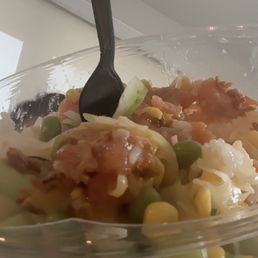 salmon salmon