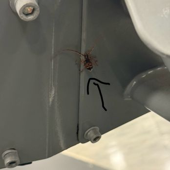 EōS Fitness - Cockroach - Gyms Near Me - Oceanside, California