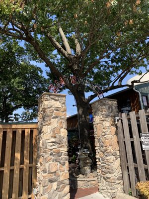 Ozona Grill and Bar by null