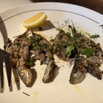 Avra - Sardines - Greek Near Me - New York, New York Avra - Sardines - Greek Near Me - New York, New York