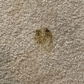 K Scott Jewelers - Dog crap - Jewelry Near Me - Newark, Delaware K Scott Jewelers - Dog crap - Jewelry Near Me - Newark, Delaware