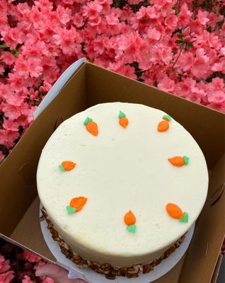 MADDIE CAKES - 102 Photos & 40 Reviews - 5397 US-158, Advance, North