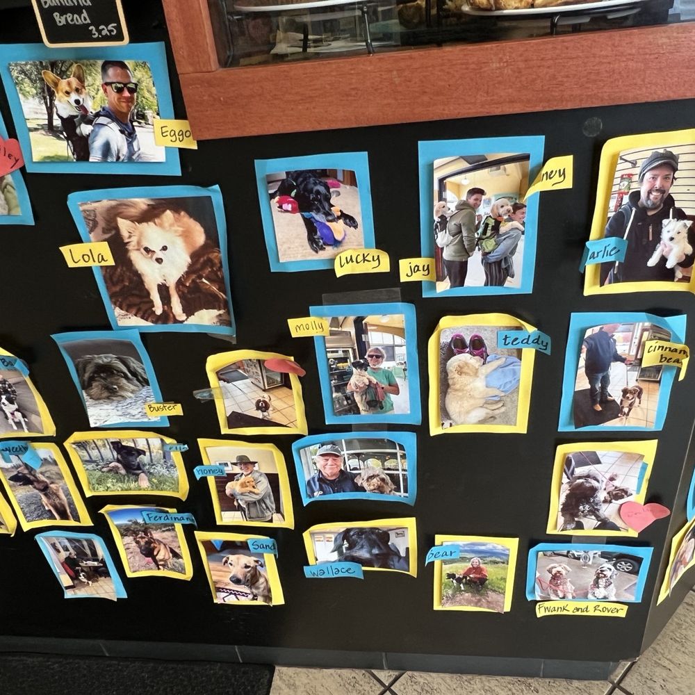 Palace Bakery - Dogs & coffee? Is this heaven? - Bakeries Near Me - Eugene, Oregon Palace Bakery - Dogs & coffee? Is this heaven? - Bakeries Near Me - Eugene, Oregon