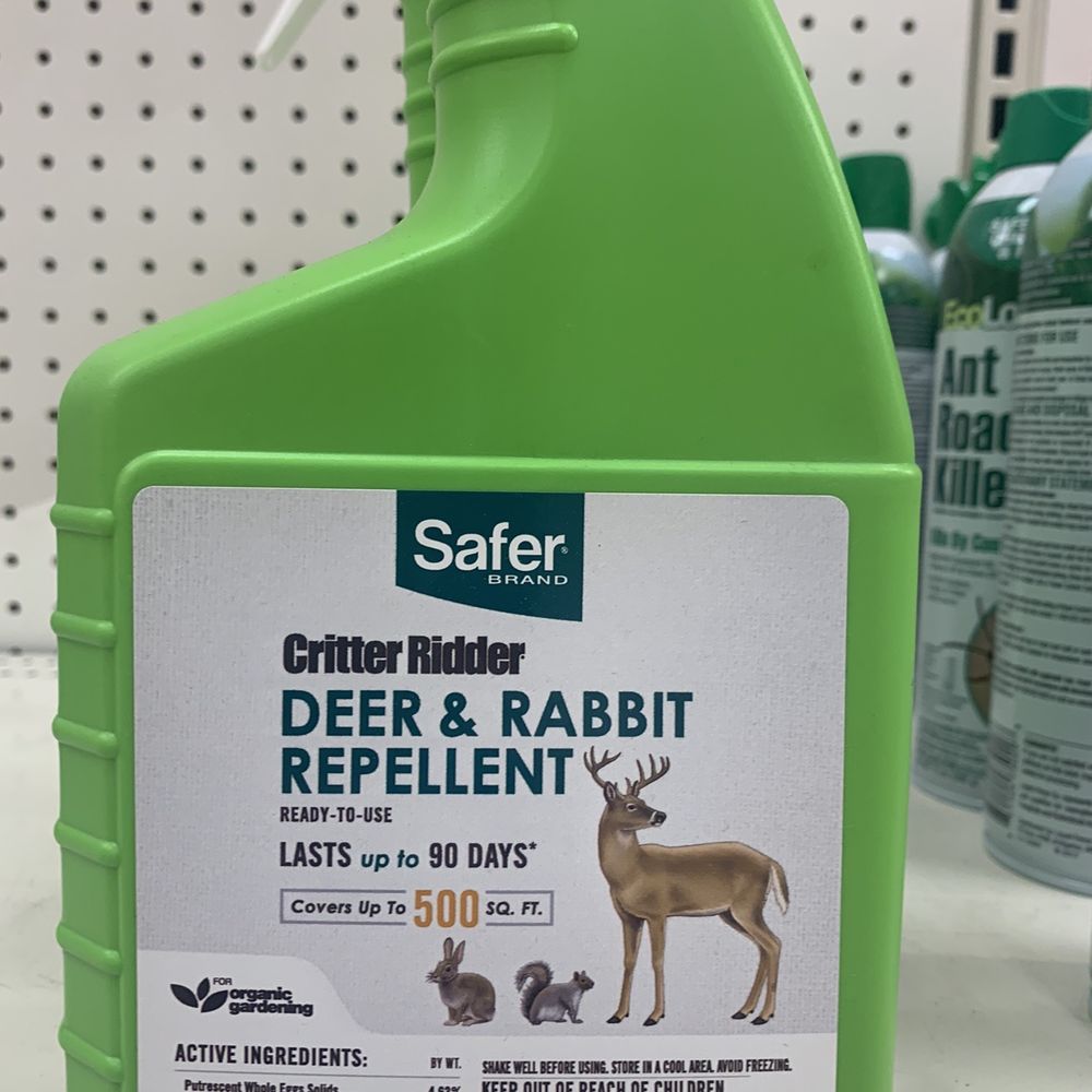 Target - No deer on Oahu lol I don't have a rabbit problem either this is weird - Department Stores Near Me - Kapolei, Hawaii Target - No deer on Oahu lol I don't have a rabbit problem either this is weird - Department Stores Near Me - Kapolei, Hawaii