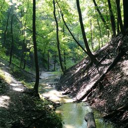 Carpenter Park - Parks Near Me - Springfield, Illinois