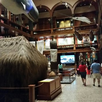 Bishop Museum - Museums Near Me - Honolulu, Hawaii
