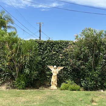 E & M Tree Service - Tree trimming - Tree Services Near Me - Gardena, California E & M Tree Service - Tree trimming - Tree Services Near Me - Gardena, California