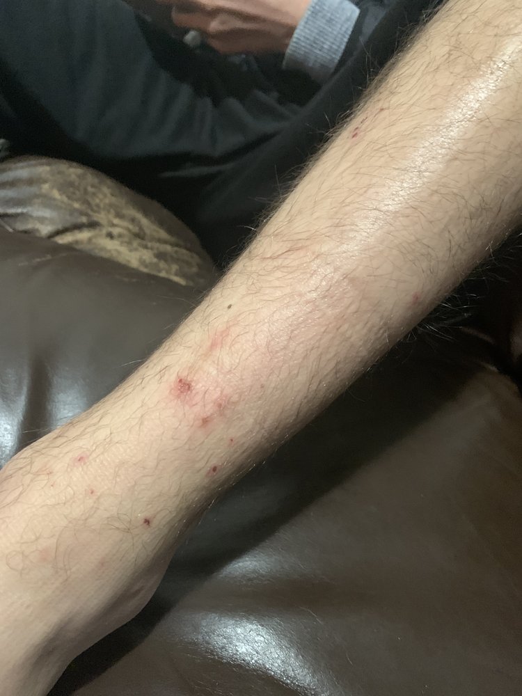 BRADFORD REAL ESTATE Updated August 2024 804 Main St, Montevallo, Alabama Property