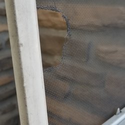 Mobile Window and Door Rescreening