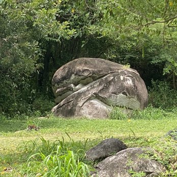 Vieques Concierge - El Hombre de Puerto Ferro archeological site - Historical Tours Near Me Vieques Concierge - El Hombre de Puerto Ferro archeological site - Historical Tours Near Me
