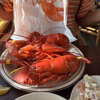 2 Forks Up - Three lobster special - American Near Me - Getzville, New York 2 Forks Up - Three lobster special - American Near Me - Getzville, New York