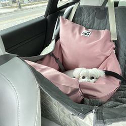 SunDog Therapy - Enjoying her seat in the car.