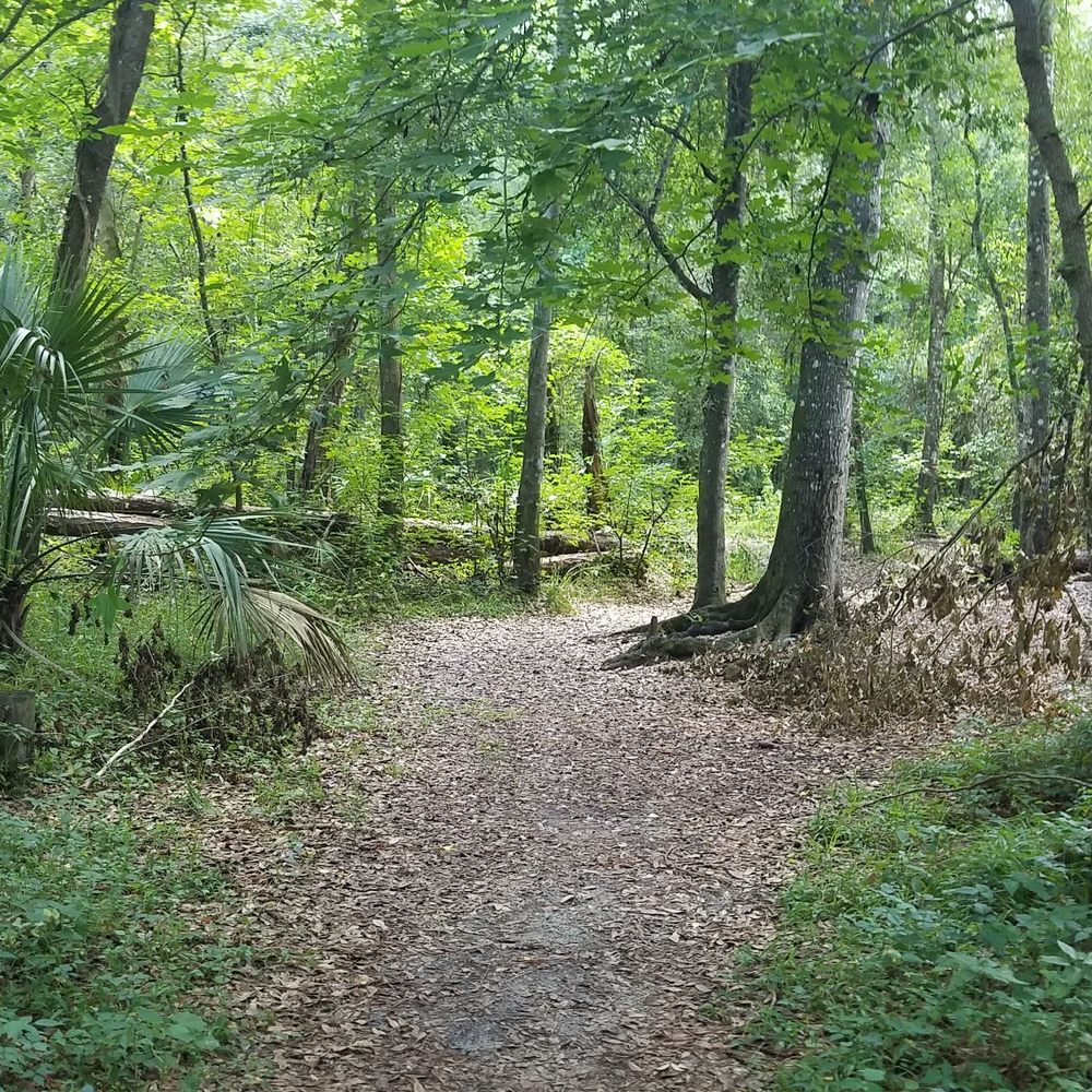 Blanchard Park - Parks Near Me - Orlando, Florida