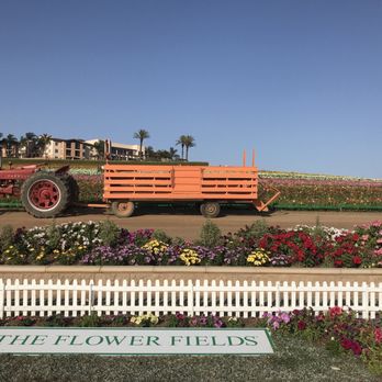 The Flower Fields - Venues & Event Spaces Near Me - Carlsbad, California