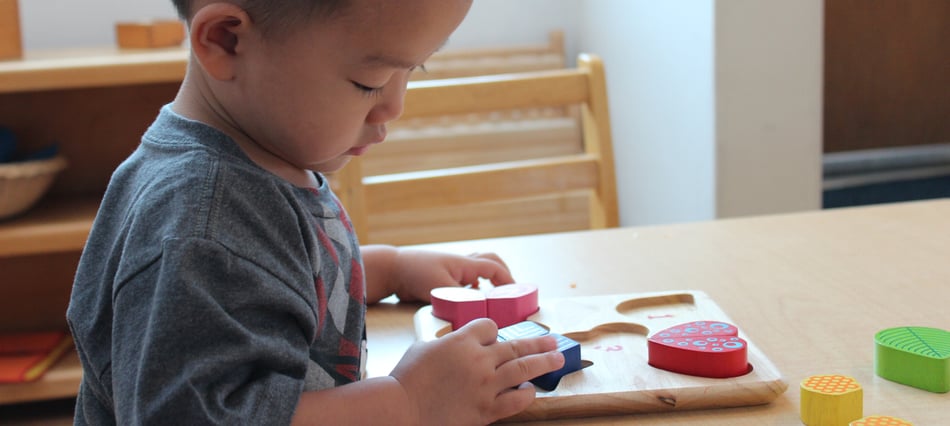 Arcadia Montessori - childcare center in Phoenix, AZ