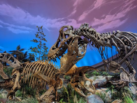 The Children's Museum of Indianapolis by null