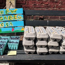 Kew Gardens CSA