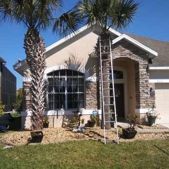 Blands Tree Services - Palm tree trimming - Tree Services Near Me Blands Tree Services - Palm tree trimming - Tree Services Near Me