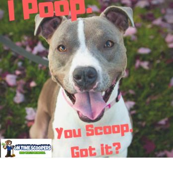 On Time Scoopers - On Time Scoopers - Pet Waste Removal Near Me - Shirley, New York On Time Scoopers - On Time Scoopers - Pet Waste Removal Near Me - Shirley, New York
