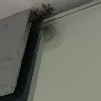 Tower 23 Hotel - More mold - Hotels Near Me - San Diego, California Tower 23 Hotel - More mold - Hotels Near Me - San Diego, California