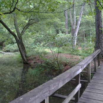 Oak Mountain State Park - Walking trail at campground. - Parks Near Me - Pelham, Alabama