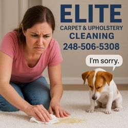 Elite Carpet & Upholstery Cleaning 