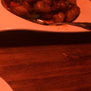 Featured image of post Genghix Castro Valley Delivery