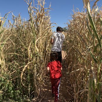 Vertuccio Farms - Corn maze - Farmers Market Near Me - Mesa, Arizona