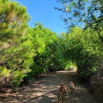 Riparian Preserve at Water Ranch - Parks Near Me - Gilbert, Arizona