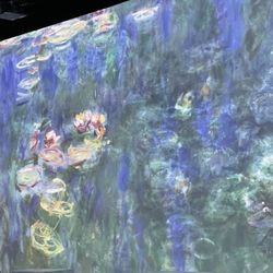 Monet’s Garden - The Immersive Experience